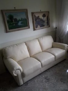 coppia divani in pelle classic stile